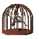 bird_swinging_mc.gif