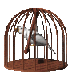 bird_swinging_mb.gif