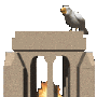 bird_looking_sc.gif