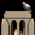 bird_looking_mc.gif