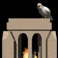 bird_looking_mb.gif
