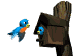 bird_house_sw.gif
