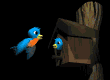 bird_house_mb.gif