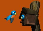 bird_house_lc.gif