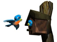 bird_house_hr.jpg