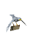 bird_flying_with_letter_sc.gif