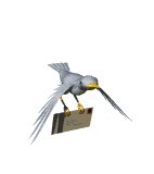 bird_flying_with_letter_mw.gif