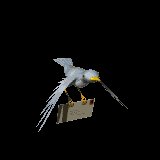 bird_flying_with_letter_mc.gif