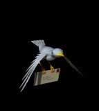 bird_flying_with_letter_mb.gif