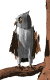 owl_tree_search_mw.gif