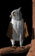 owl_tree_search_mb.gif