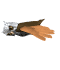 owl_side_fly_mw.gif