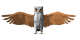 owl_flap_sw.gif