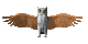 owl_flap_sc.gif