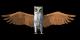 owl_flap_sb.gif
