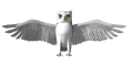 owl_flap_mw.gif