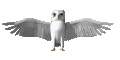 owl_flap_mc.gif