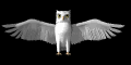 owl_flap_mb.gif