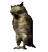 owl4_mousetrap_sc.gif