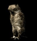 owl4_mousetrap_lb.gif