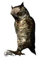 owl4_mousetrap_hr.jpg
