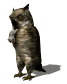 owl3_mousecatching_sw.gif