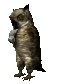 owl3_mousecatching_sc.gif