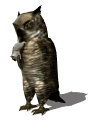 owl3_mousecatching_mw.gif