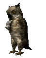 owl3_mousecatching_mc.gif