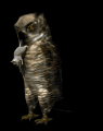 owl3_mousecatching_mb.gif