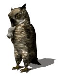 owl3_mousecatching_lw.gif