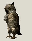 owl3_mousecatching_lc.gif