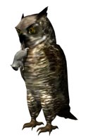 owl3_mousecatching_hr.jpg