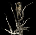 owl2tree_turninghead_lb.gif