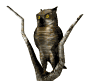 owl1tree_lookingabroad_sw.gif