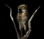 owl1tree_lookingabroad_sb.gif