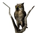 owl1tree_lookingabroad_mw.gif