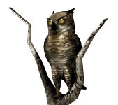 owl1tree_lookingabroad_lw.gif