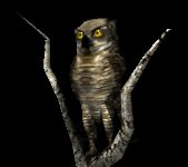 owl1tree_lookingabroad_lc.gif
