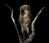 owl1tree_lookingabroad_lb.gif