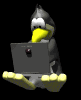 penguintpe_mb.gif