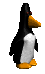 penguin_walk_sc.gif