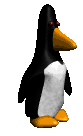 penguin_walk_lc.gif