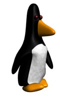 penguin_walk_hr.jpg