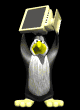 penguin_toss_mb.gif
