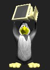 penguin_toss_lc.gif