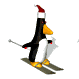 penguin_ski_sw.gif