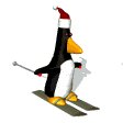 penguin_ski_mw.gif