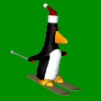 penguin_ski_mc.gif