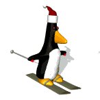 penguin_ski_lw.gif